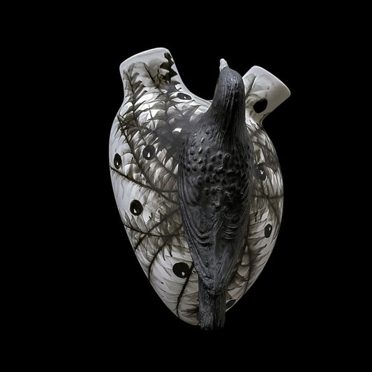 H-26 RARA NIGRA AVIS