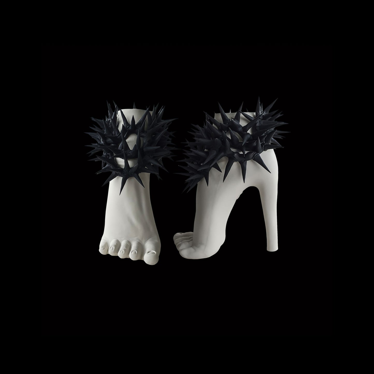SPINE NERE – BLACK THORNS