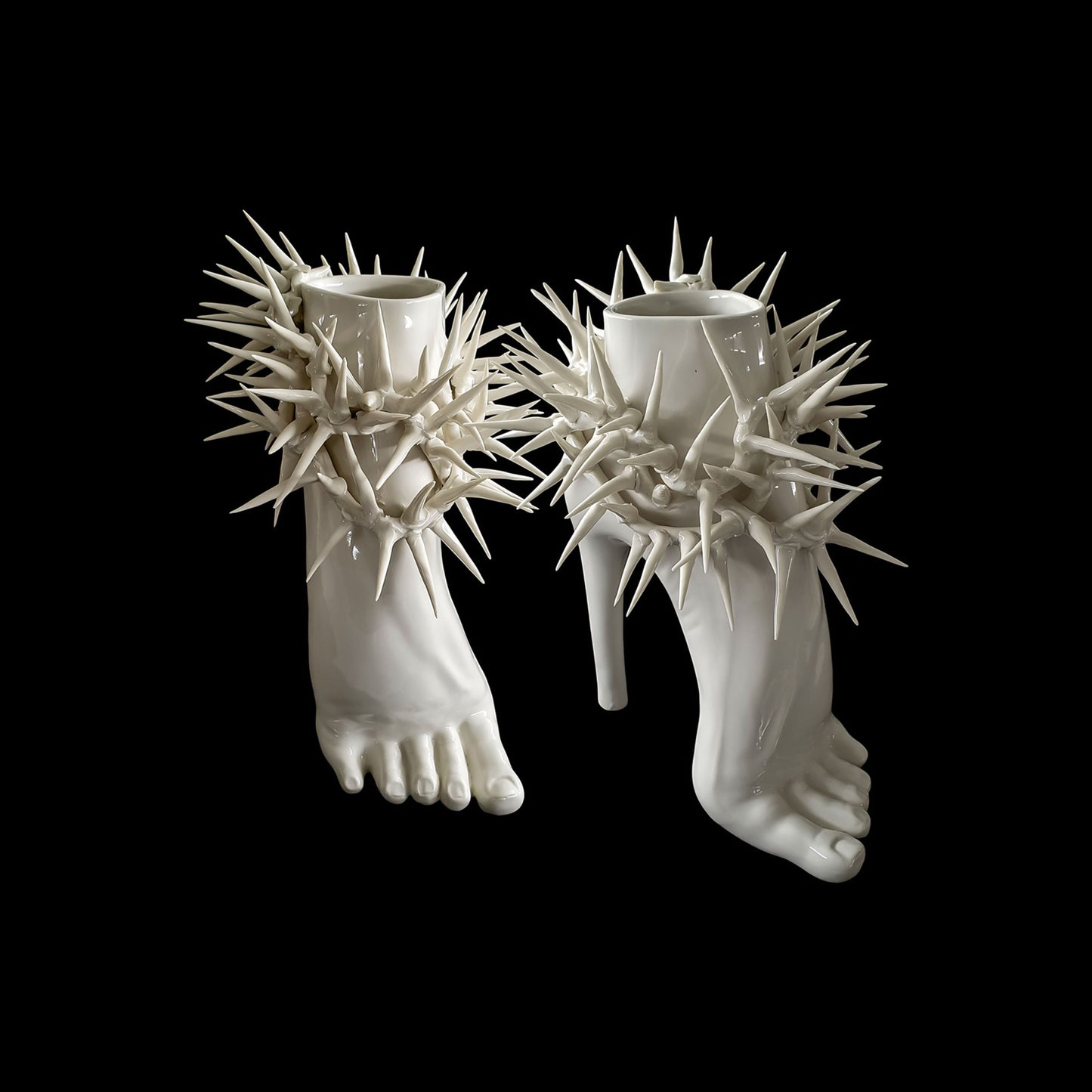 SPINE BIANCHE – WHITE THORNS