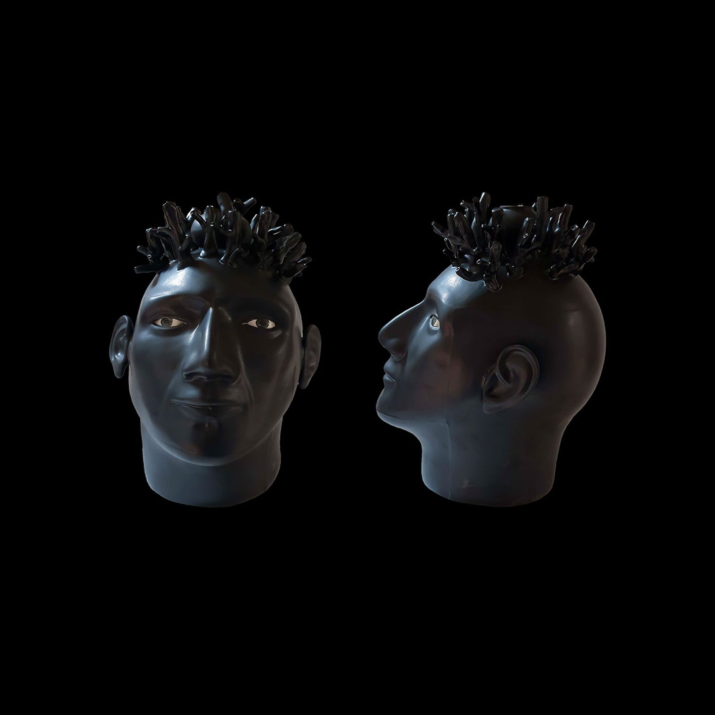 BHR24 – ROCCO’S HEAD SCIPIO
