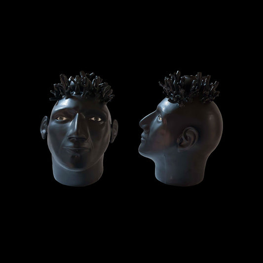 BHR24 – ROCCO’S HEAD SCIPIO
