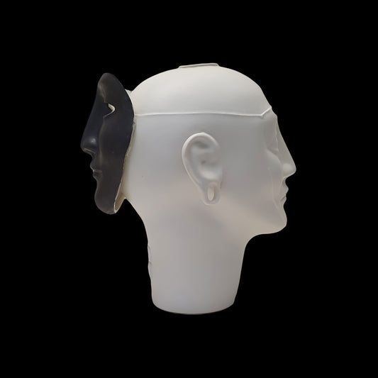 TS 22 BLACK MASK